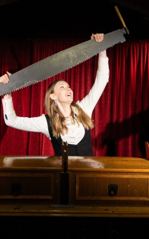 m_The Show of Our Lives - Lady of Magic Nicky de Jong (5)